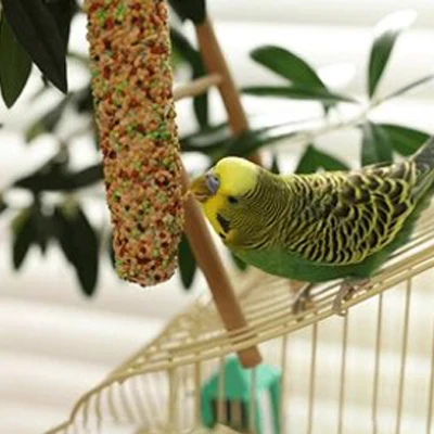 Stick à la banane pour perroquet