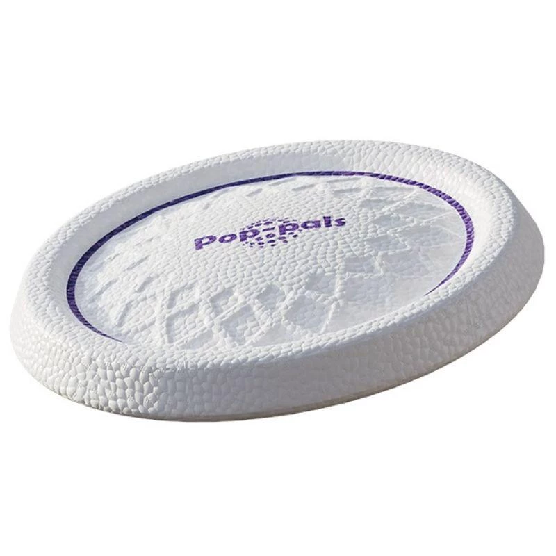 GIGWI FRISBEE ULTRA RÉSISTANT 22 CM