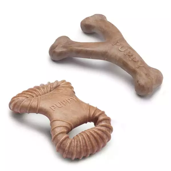 JOUET DE MASTICATION BENEBONE CHIOT