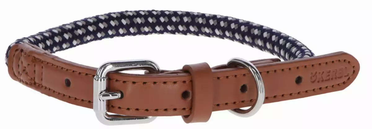 COLLIER CHIEN PHŒNIX 40-55 CM