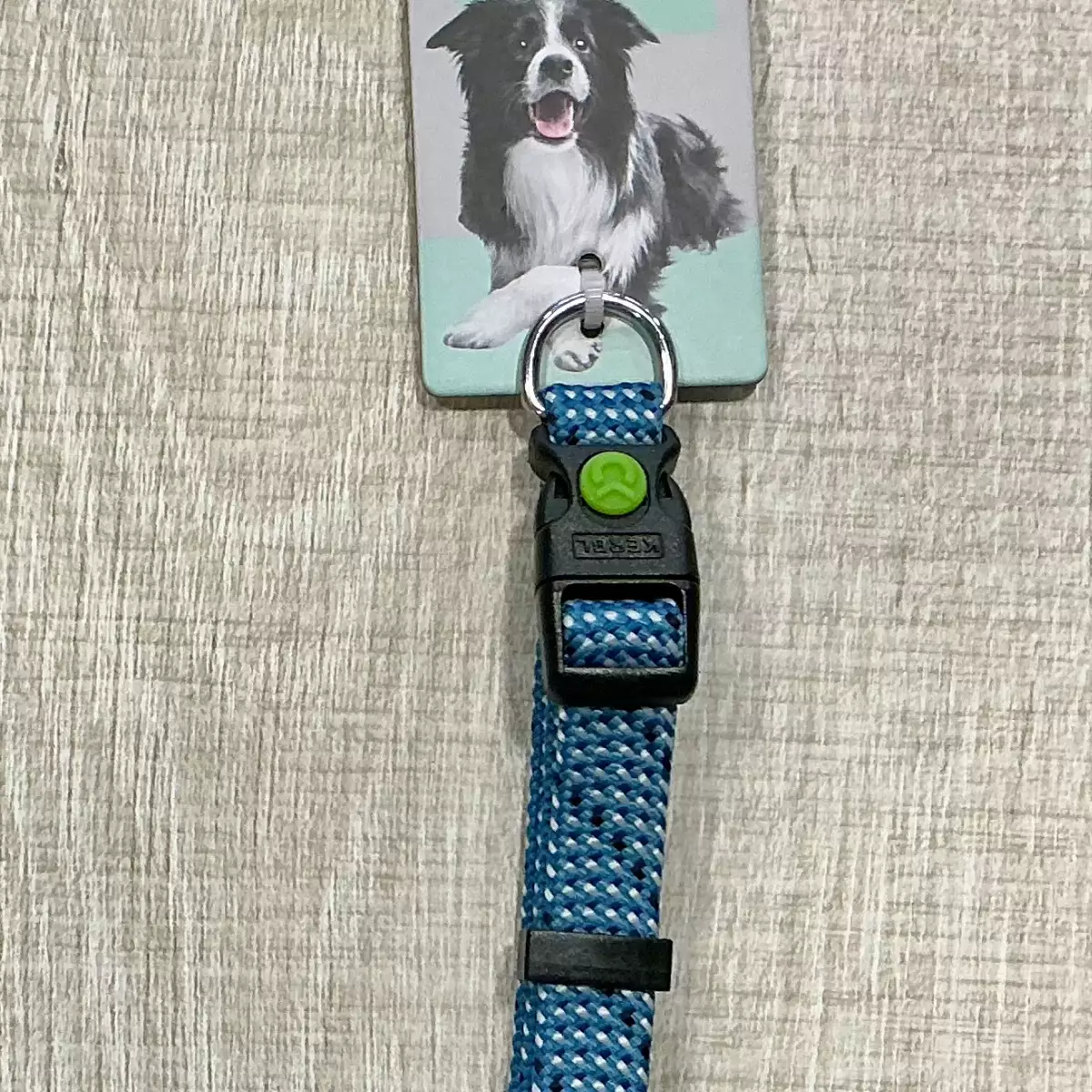 COLLIER CHIEN COLORADO OCÉAN 25-35 CM