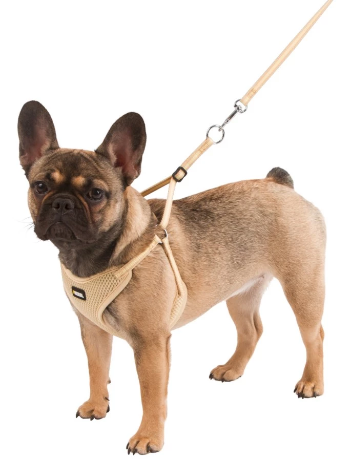 HARNAIS CHIOT BEIGE 24-44CM