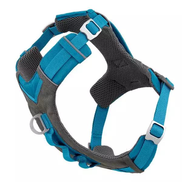 HARNAIS CHIEN KURGO BLEU