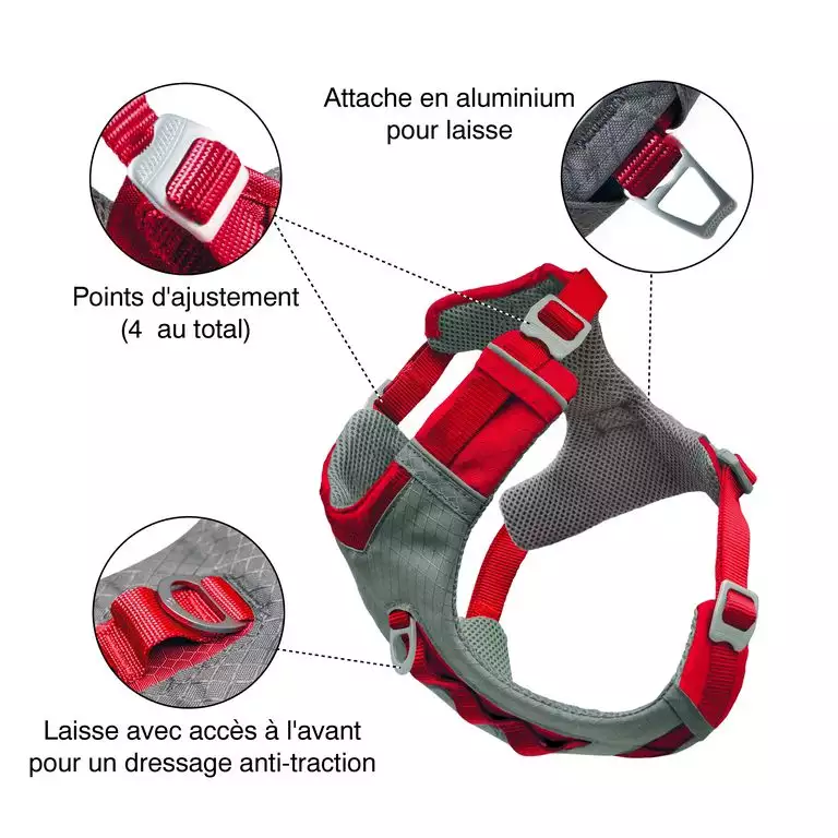 HARNAIS CHIEN KURGO ROUGE
