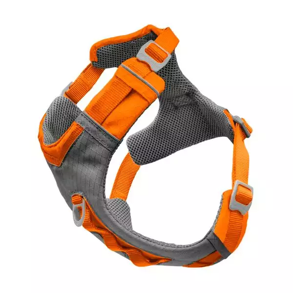 HARNAIS KURGO ORANGE