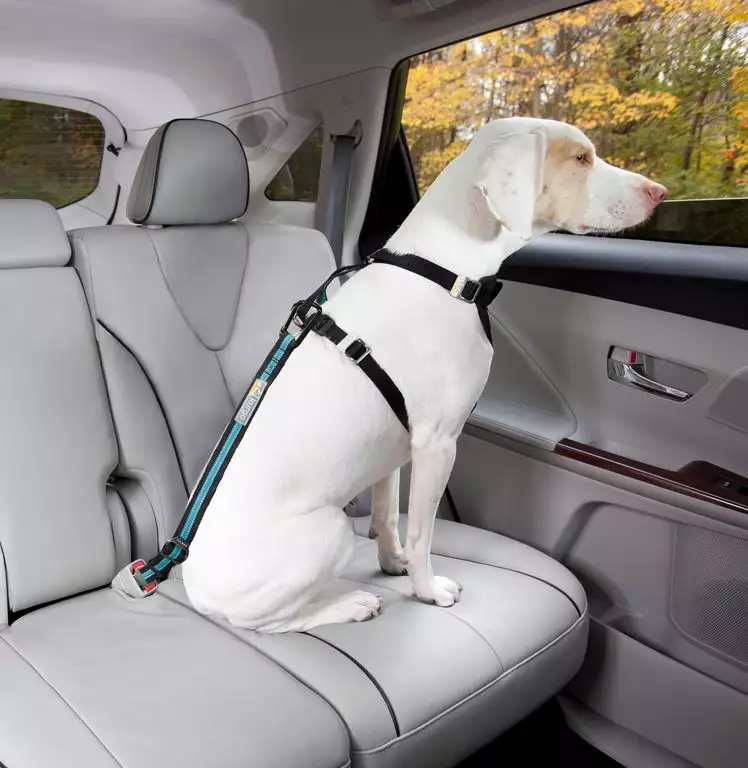 ATTACHE CEINTURE POUR VOITURE KURGO