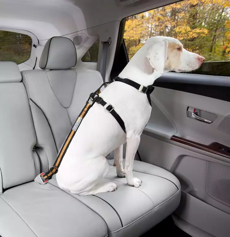 ATTACHE CEINTURE POUR VOITURE KURGO